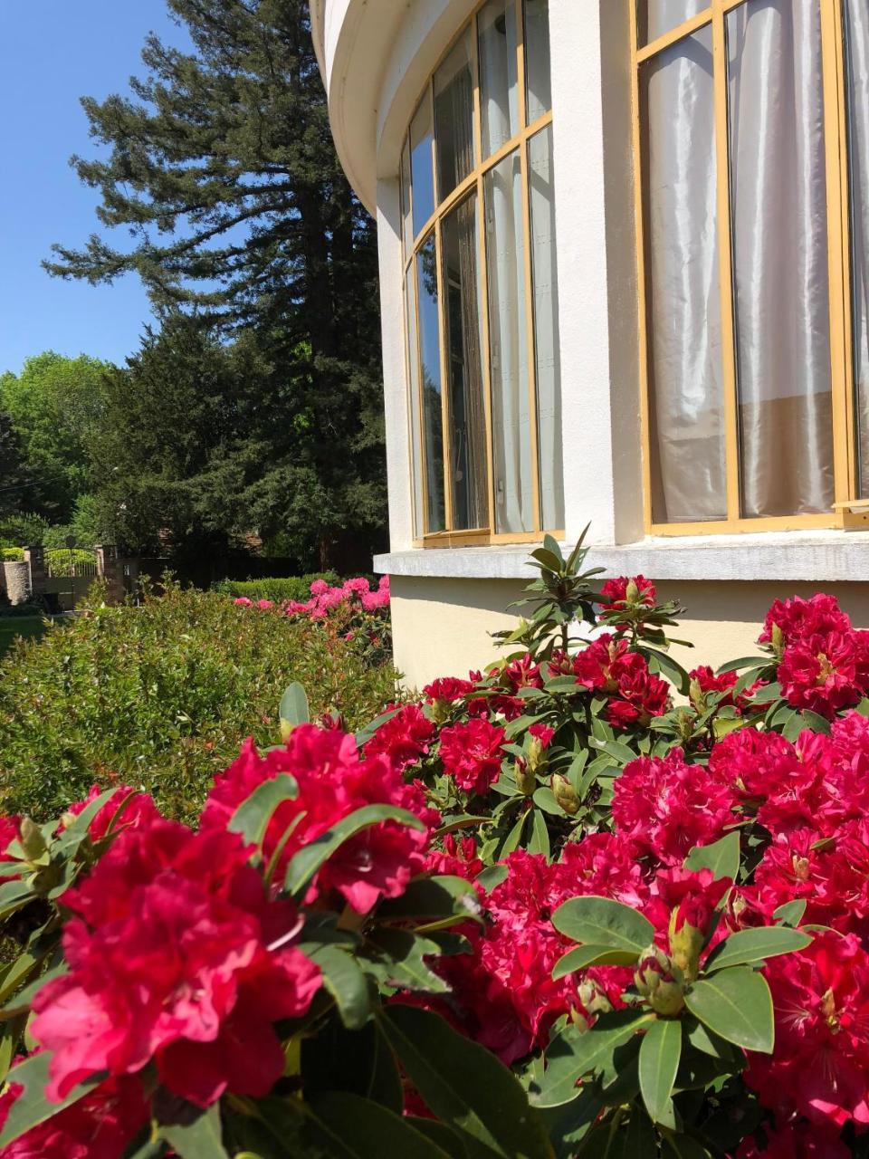 La Villa Rochette Forges-les-Bains Exterior foto